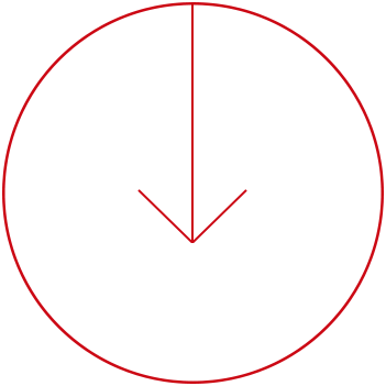 Circulo de flamenca